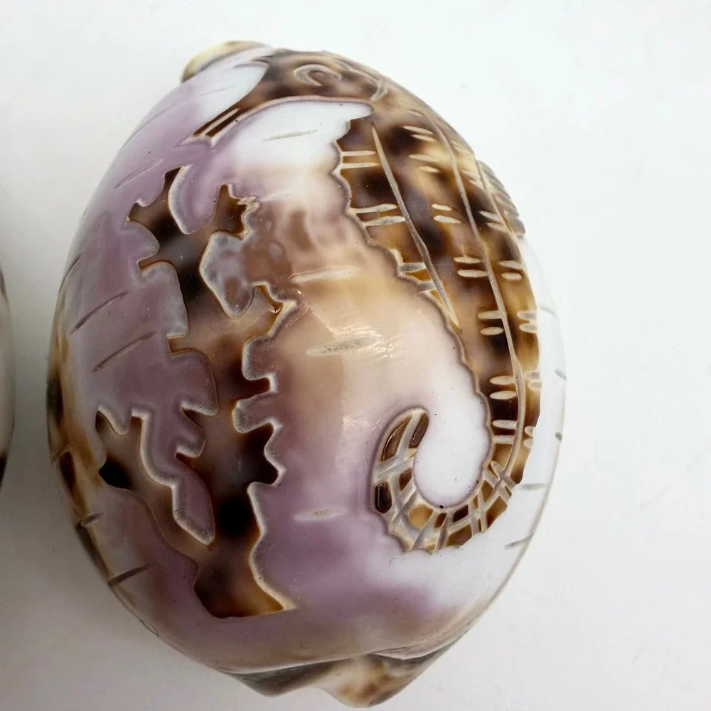 Vintage Carved Tiger Cowrie Shell‎ Pair Pelican Seahorse Cameo Coastal Estate